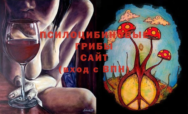 гашик Верея