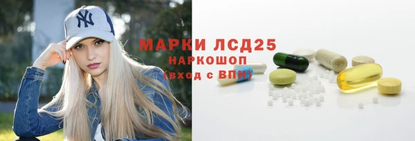гашик Верея