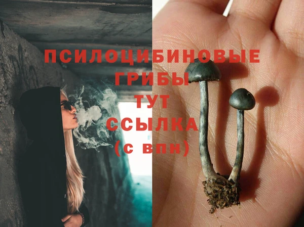 эйфоретик Волосово