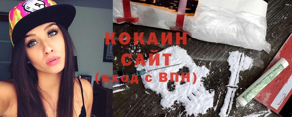 гашик Верея