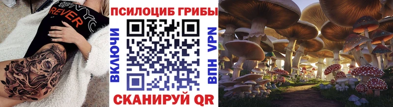Купить где  Моздок  Галлюциногенные грибы Psilocybine cubensis 