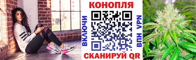 Бошки Шишки план  Купить где  Моздок 